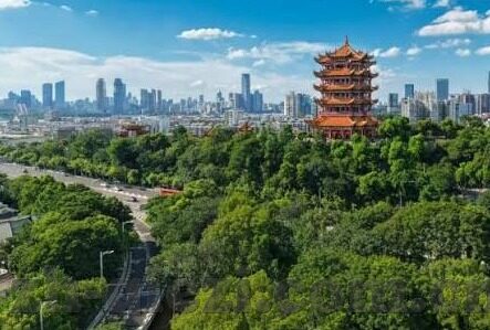 91麻豆精品国产自产在线观看-探索国产内容的新境界，91麻豆精品国产自产在线观看