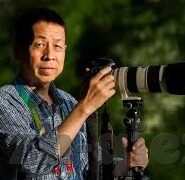 91麻豆免费看-91麻豆，解锁免费观影新体验