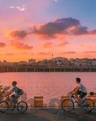 91制片厂糖心vlog玩偶-探秘网络世界的虚幻诱惑 —— 91制片厂糖心VLOG与玩偶背后的真实面纱
