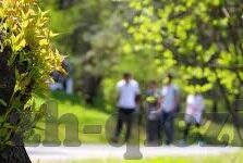 成人三级亚洲视频在线播放-成人三级亚洲视频，网络内容与道德边界的探讨