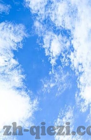 大象传媒短视频app下载-探索大象传媒短视频APP，解锁娱乐新视界