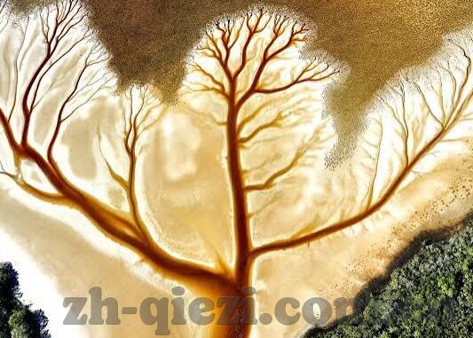 大象在线传媒-大象在线传媒，重塑数字媒体新生态的领航者